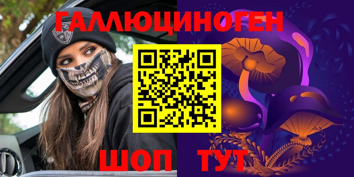 Кандалакша  Псилоцибиновые грибы Psilocybe  Вход с VPN 
